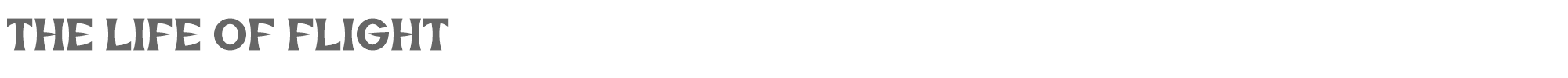 Sample characters The Life of Flight Font